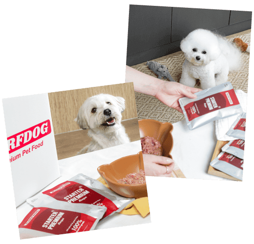 브랜드 소개 이미지