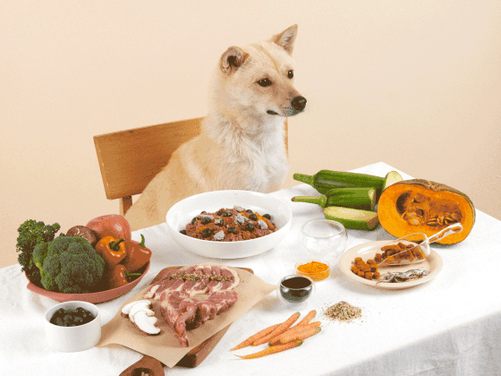 브랜드 소개 이미지