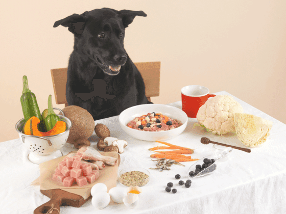 브랜드 소개 이미지