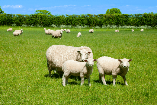 브랜드 소개 이미지