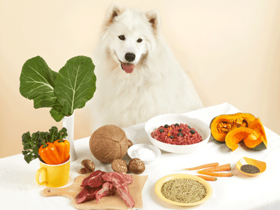 브랜드 소개 이미지