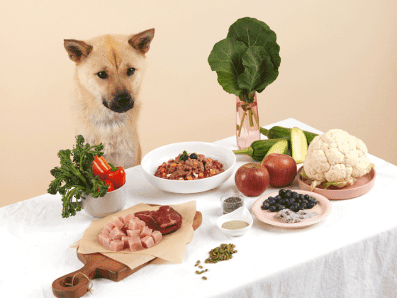 브랜드 소개 이미지