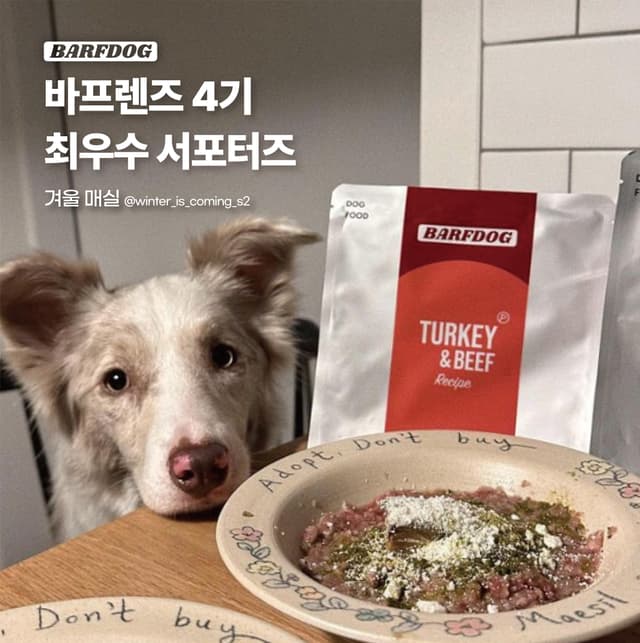 바프독 인스타그램 이미지-0