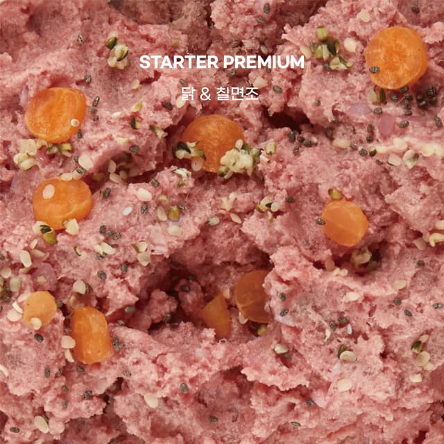 바프독 인스타그램 이미지-12