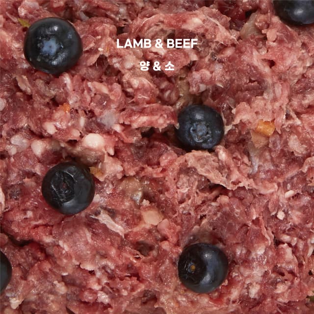 바프독 인스타그램 이미지-3