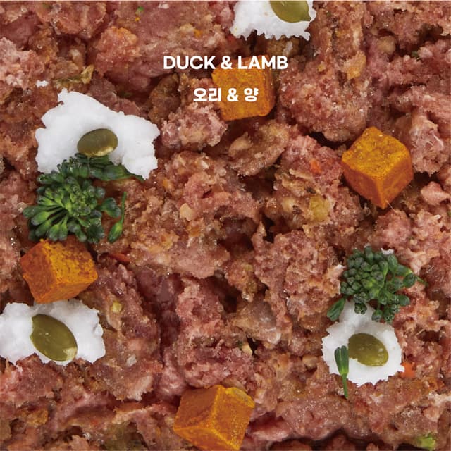 바프독 인스타그램 이미지-6